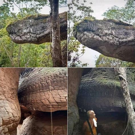 cave in thailand that looks like a snake|Naka Cave, Thailand: All about the Legends,。